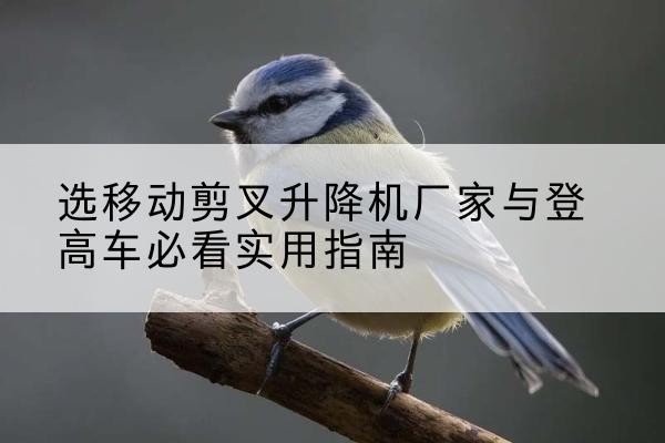 克什克腾旗电动升降机厂家-选移动剪叉升降机厂家与登高车必看实用指南