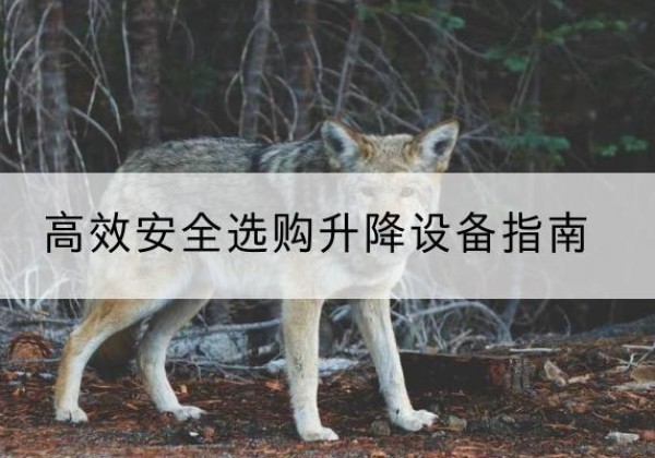 克什克腾旗升降货梯厂家推荐-*安全选购升降设备指南
